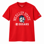 CHAMPION ROCHESTER MEN'S SHORT SLEEVE T-SHIRT