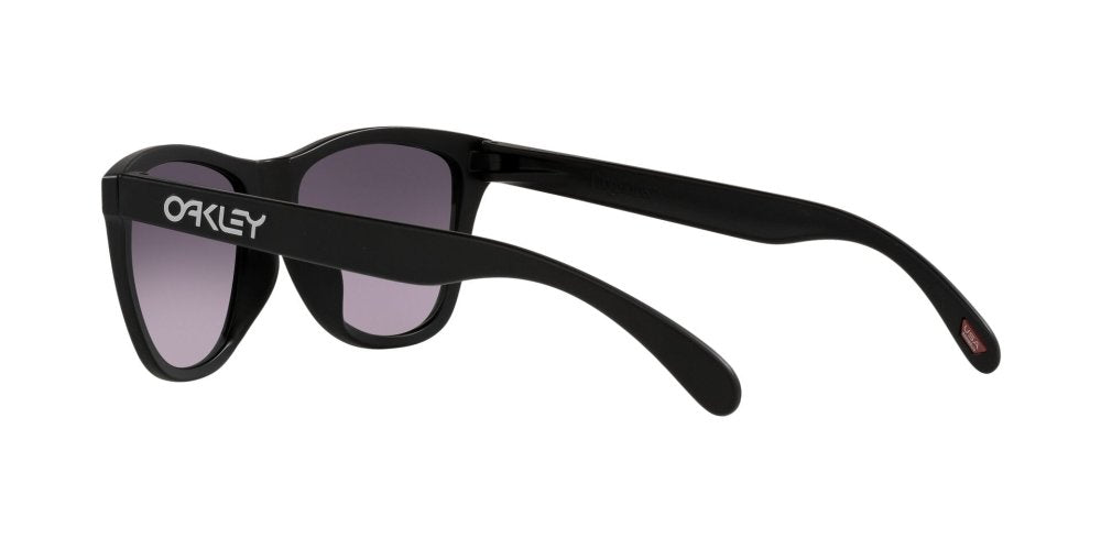 OAKLEY - FROGSKINS (A) Unisex - Rev Online