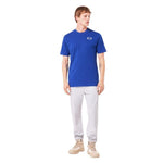OAKLEY GOLDEN HOUR BARK TEE เสื้อยืดทีเชิ๊ตผู้ชาย - Rev Online